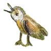 Vogel
